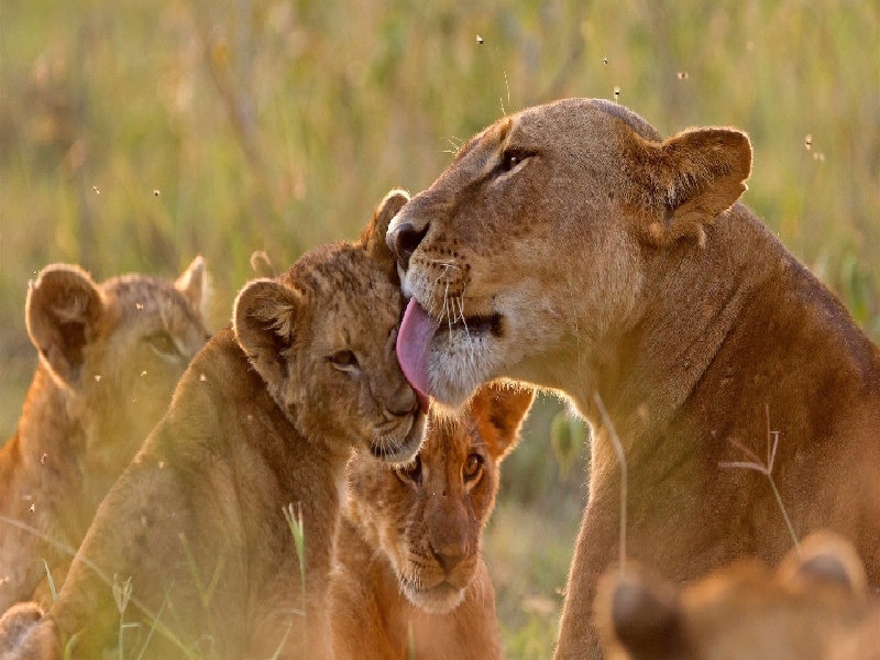 试管文案情绪试管抗结核药物20人核酸试管